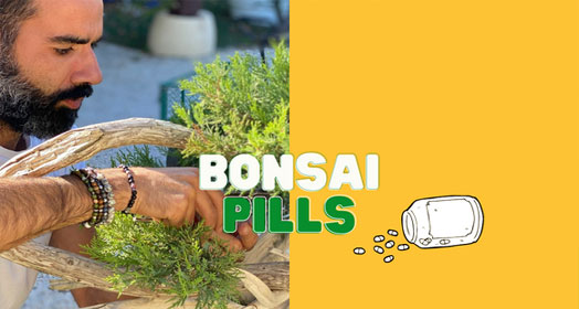 Pillole di Bonsai