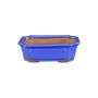 1 - Vaso bonsai rettangolare smaltato azzurro 31 cm