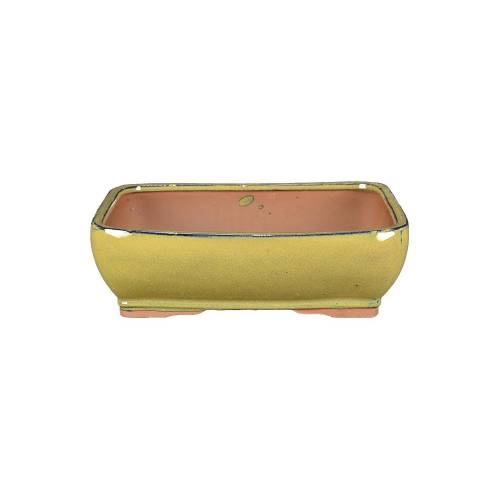 1 - Vaso bonsai rettangolare smaltato beige 30 cm