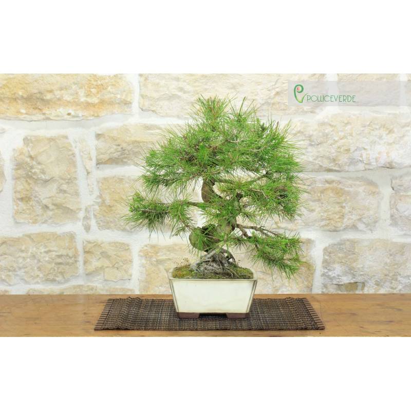 übertopf aus bambus Künstlicher Bambus Topf - Naoto | 25 cm main image 0