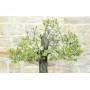 7 - Blackthorn Bonsai (23)