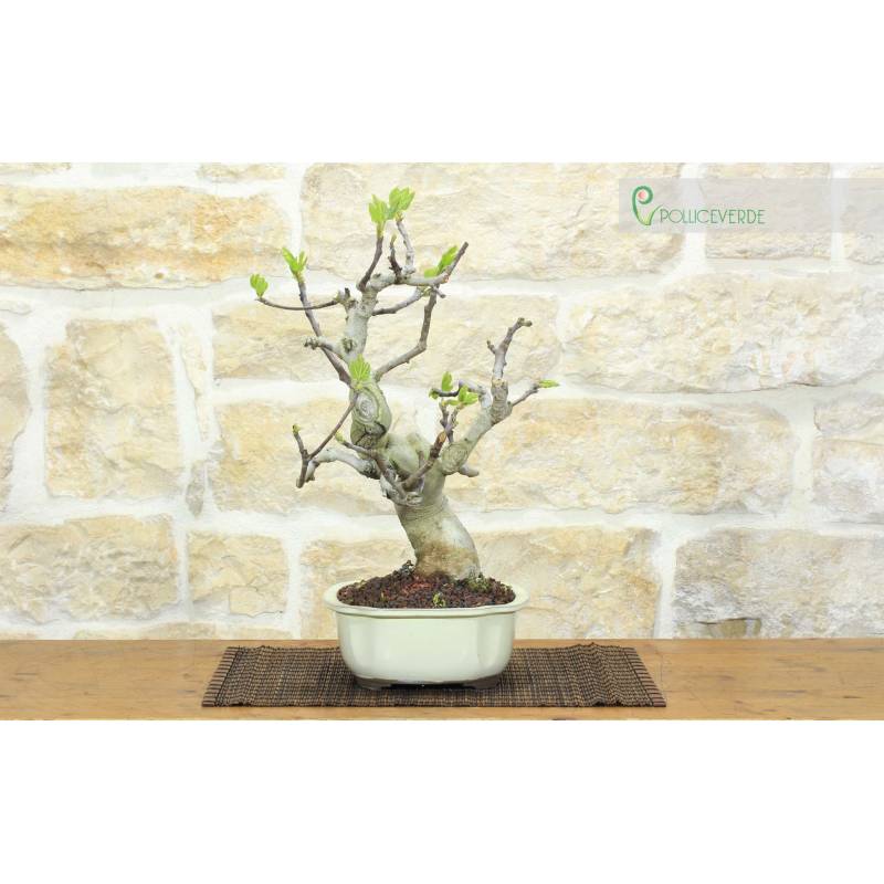 japan bambus Japanese Bamboo artificial plant main image 0