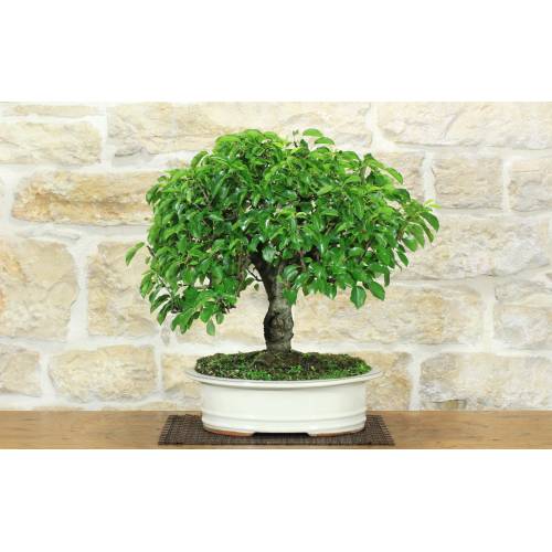 1 - 