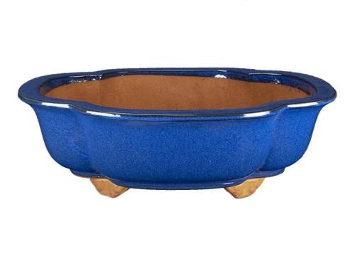 2 - Vaso bonsai a nuvola smaltato blu 43 cm
