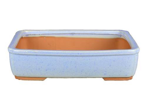 2 - Vaso bonsai smaltato rettangolare azzurro 26 cm