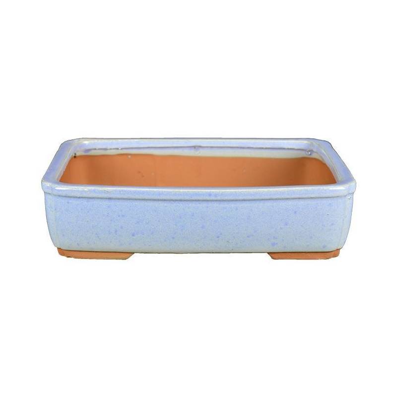 2 - Vaso bonsai smaltato rettangolare azzurro 30 cm