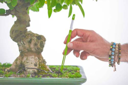 2 - Misuratore di umidità per bonsai e piante - asta 18cm