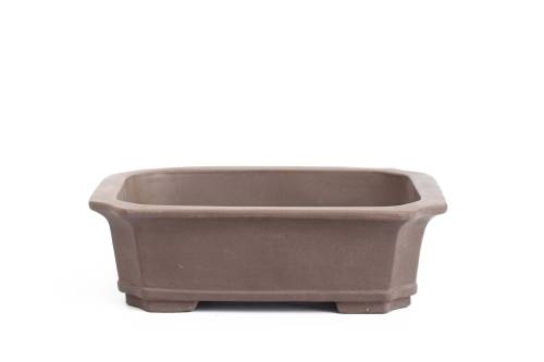2 - Vaso bonsai in gres rettangolare cm. 51