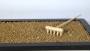 4 - Akadama Ibaraki  per Shohin grano 0-2 mm. - sacco 10 lt.