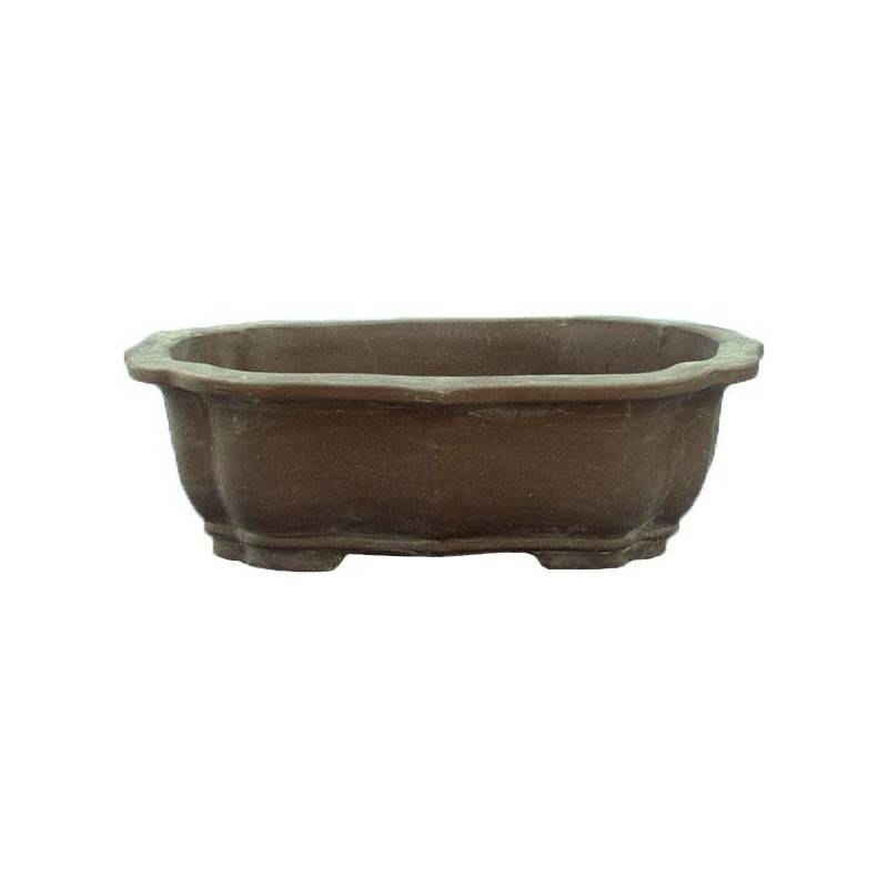 1 - Vaso bonsai gres a nuvola 31 cm.