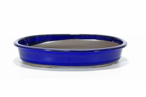 2 - Vaso bonsai ovale smaltato blu 28 cm