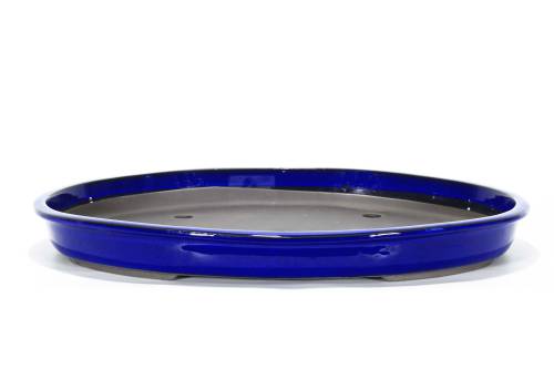 2 - Vaso bonsai ovale smaltato blu 57 cm.