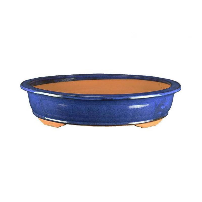 2 - Vaso bonsai smaltato ovale blu 42 cm