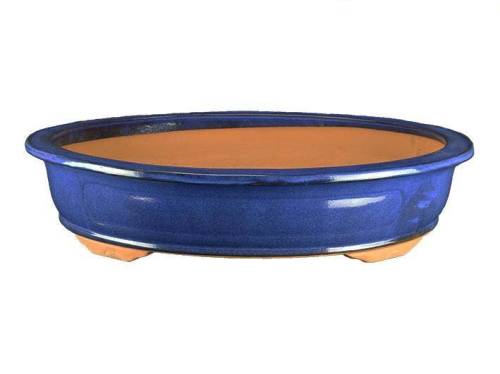 2 - Vaso bonsai smaltato ovale blu 52 cm
