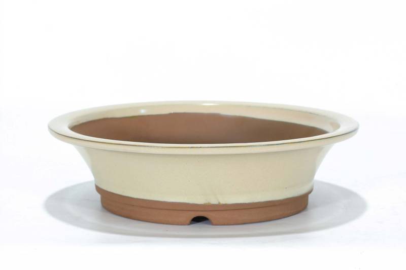 14 - Vaso bonsai smaltato tondo 32 cm