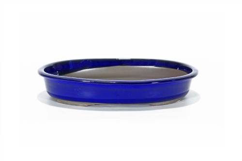 2 - Vaso bonsai ovale smaltato blu 25 cm.