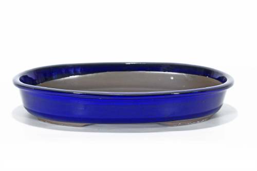 2 - Vaso bonsai ovale smaltato blu 34 cm.