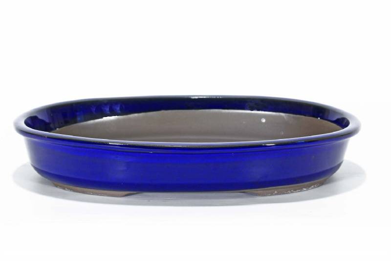 2 - Vaso bonsai ovale smaltato blu 38 cm.