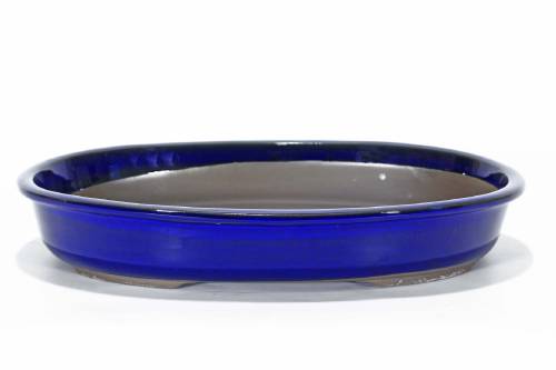 2 - Vaso bonsai ovale smaltato blu 40 cm.