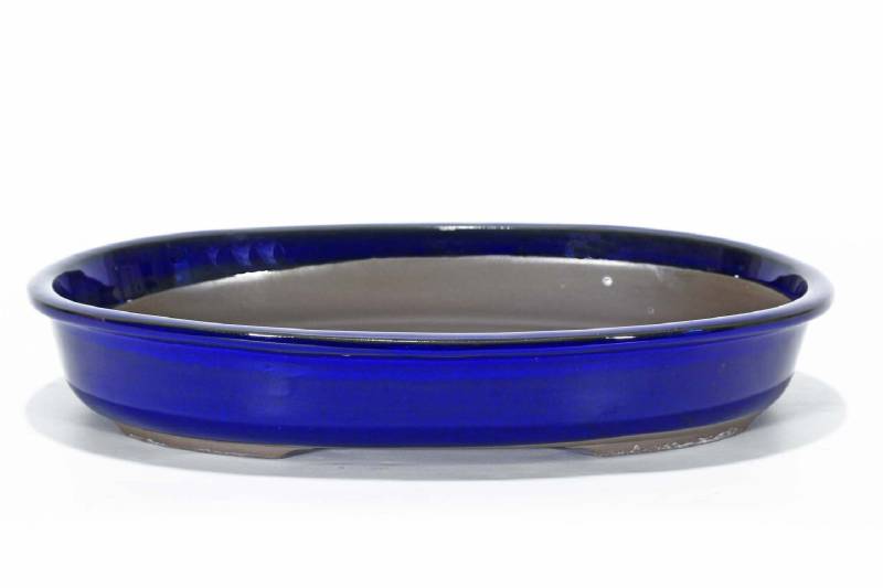 2 - Vaso bonsai ovale smaltato blu 40 cm.