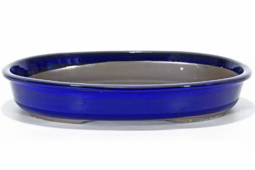 2 - Vaso bonsai ovale smaltato blu 48 cm.