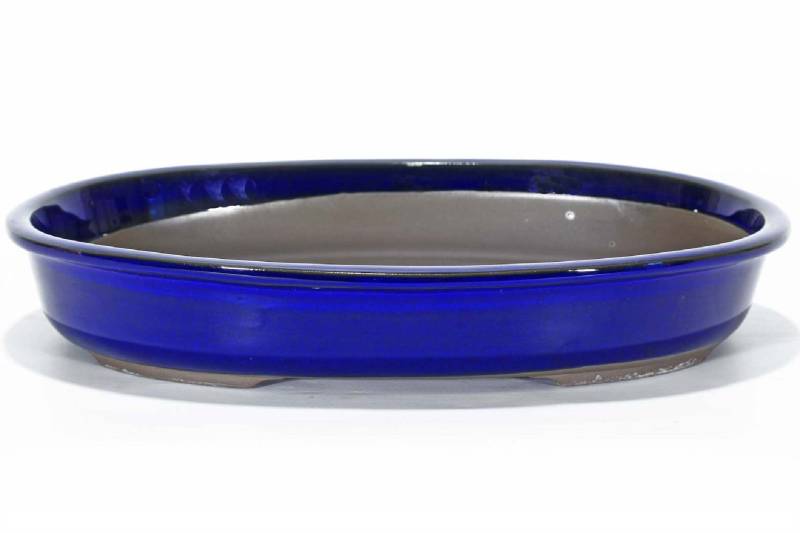 2 - Vaso bonsai ovale smaltato blu 48 cm.