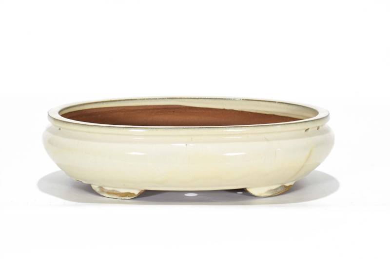 5 - Vaso bonsai ovale smaltato 40 cm