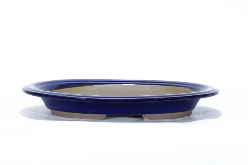2 - Vaso bonsai ovale smaltato blu 46 cm.