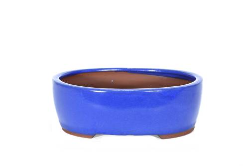 2 - Vaso bonsai smaltato ovale 29 cm. - in 3 varianti colore