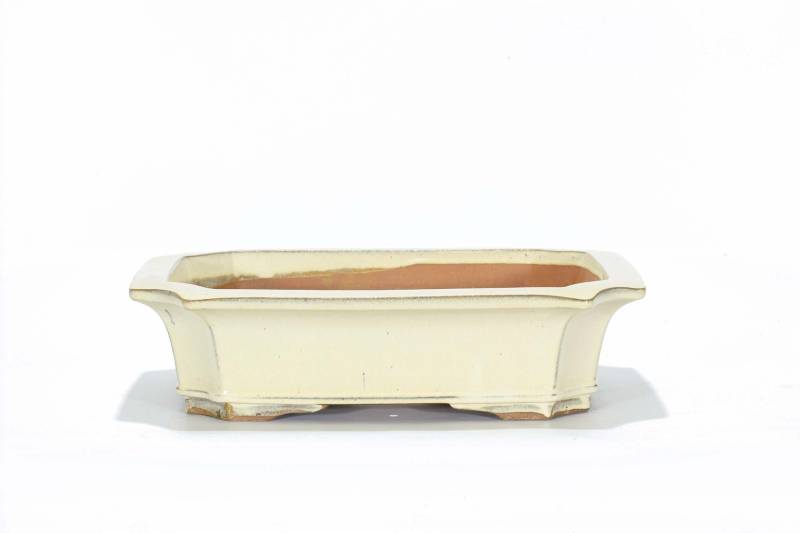 9 - Vaso bonsai smaltato rettangolare cm. 47