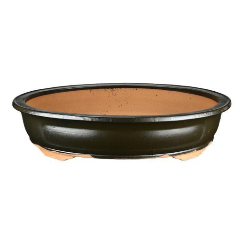 Pot à bonsaï ovale émaillé noir 52 cm