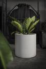2 - Vaso Cilindro in resina Fenice 42 cm.