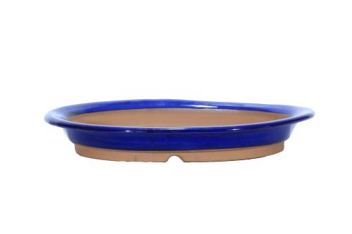 2 - Vaso bonsai ovale smaltato blu 34 cm.