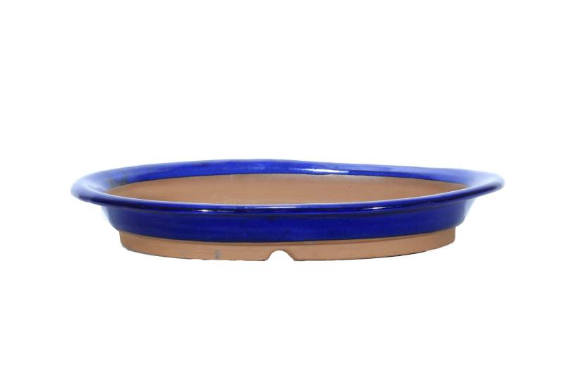 2 - Vaso bonsai ovale smaltato blu 34 cm.