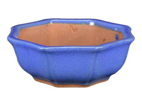 2 - Vaso bonsai fior di loto smaltato blu 19 cm