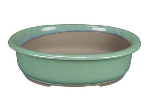 2 - Vaso bonsai ovale smaltato verde 20,5 cm