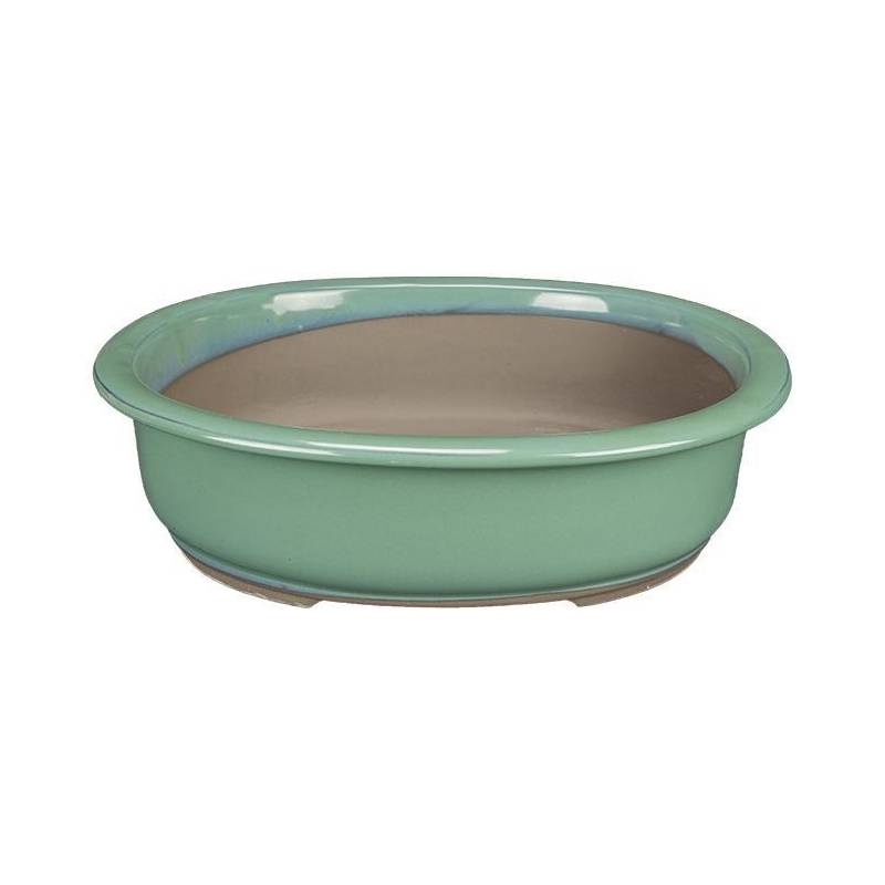 2 - Vaso bonsai ovale smaltato verde 20,5 cm