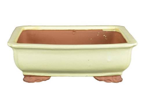 2 - Vaso bonsai rettangolare smaltato avorio 25,5 cm