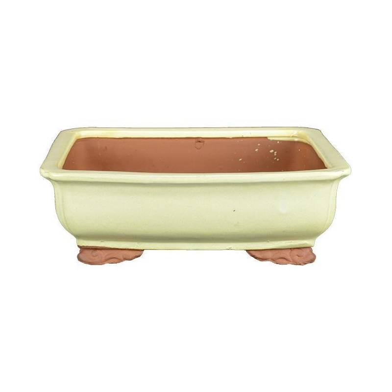 2 - Vaso bonsai rettangolare smaltato avorio 25,5 cm