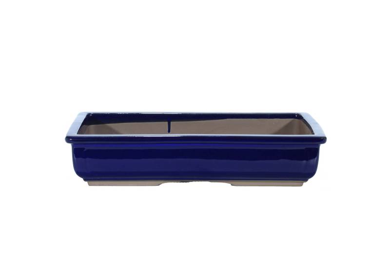 2 - Vaso bonsai smaltato rettangolare blu 35 cm