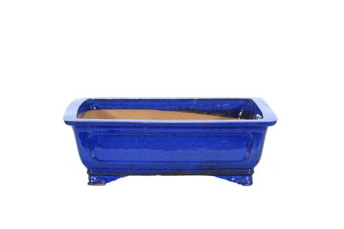 2 - Vaso bonsai smaltato rettangolare blu 38 cm