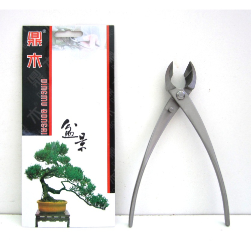 Coupe bonsaï coupe oblique en acier satiné mm. 180