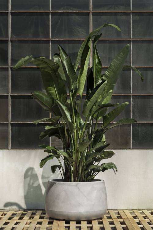 1 - Vaso tondo in resina TITANO diam. 85 cm.