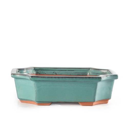 1 - Vaso bonsai rettangolare smaltato verde cm. 24