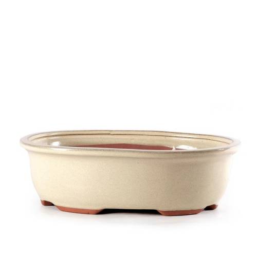 1 - Vaso bonsai smaltato ovale cm. 28