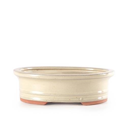 1 - Vaso bonsai smaltato ovale cm. 30