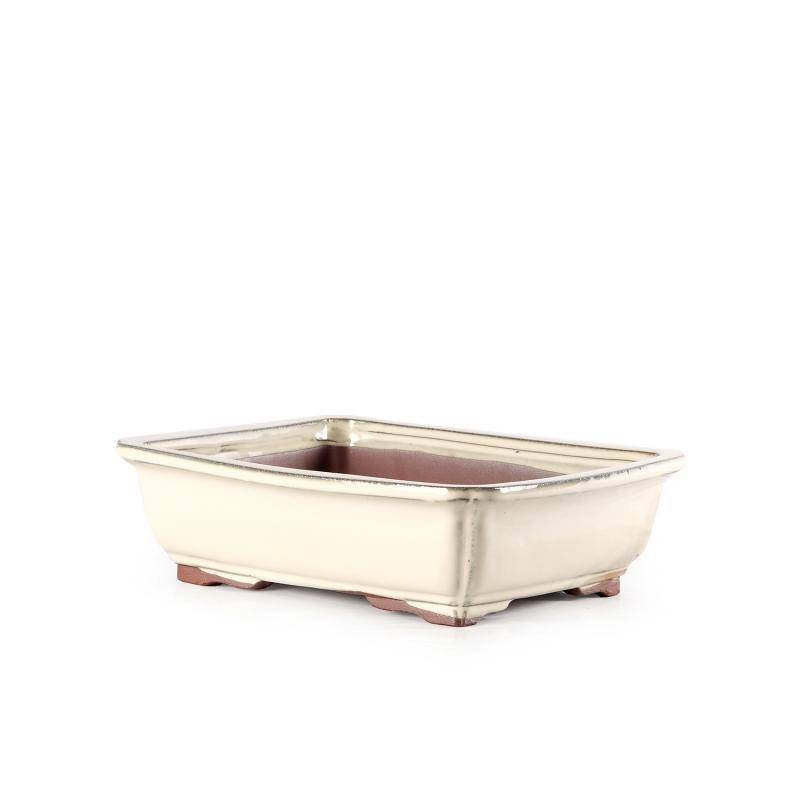 1 - Vaso bonsai smaltato rettangolare cm. 19