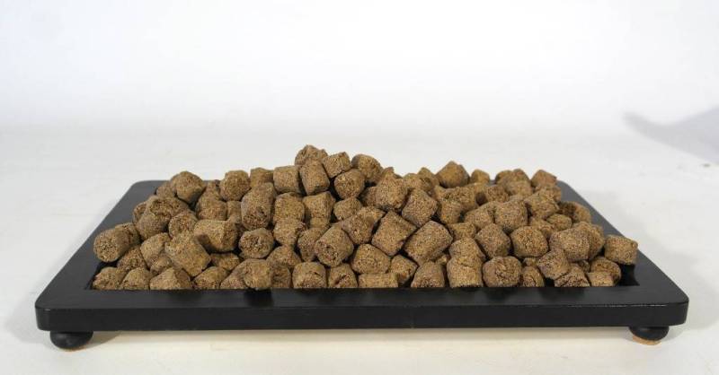 2 - Hanagokoro concime organico solido per bonsai 5 Kg.