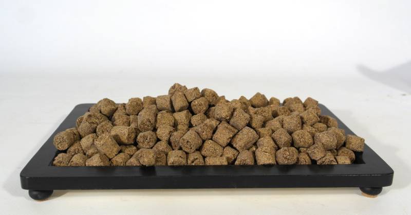 2 - Hanagokoro concime organico solido per bonsai 300 gr.