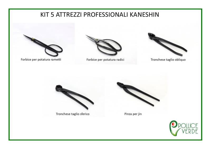 2 - KIT 5 Attrezzi professionali per lavorazione Bonsai - Kaneshin